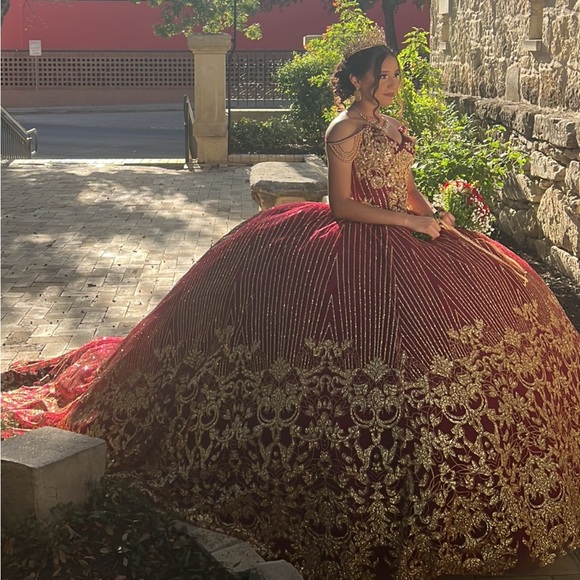 RAGAZZA Burgundy and Gold Embellished Gown